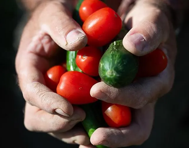 Thalasses Villa Adelianos Kampos