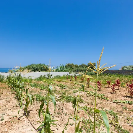 Thalasses Вилла *